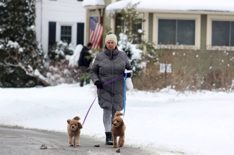 Roxanne Dorn of Algonquin walks with her two poodle mixes on Sunday, Dec. 7, 2025 in Algonquin.