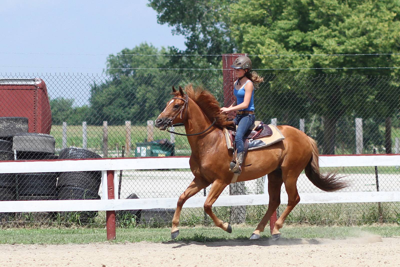 Grundy County 4H Fair results Shaw Local