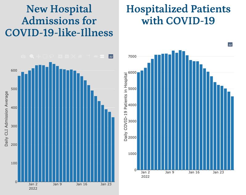 The number of new hospital admissions for COVID-19 and total hospitalized patients with COVID-19 in Illinois have dropped considerably as of January 28.
