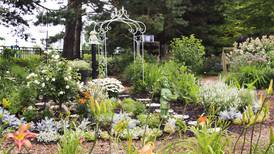 Garden Walk in July to showcase teaching, residential gardens in McHenry County