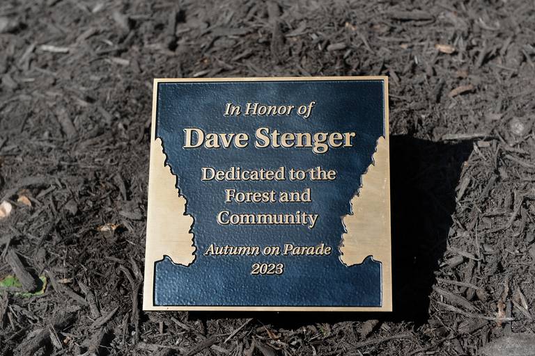 A white oak was planted near the southeast corner of the Ogle County Courthouse in memory of Dave Stenger on Friday, Sept. 15, 2023. This is the plaque that is displayed nect to the tree.