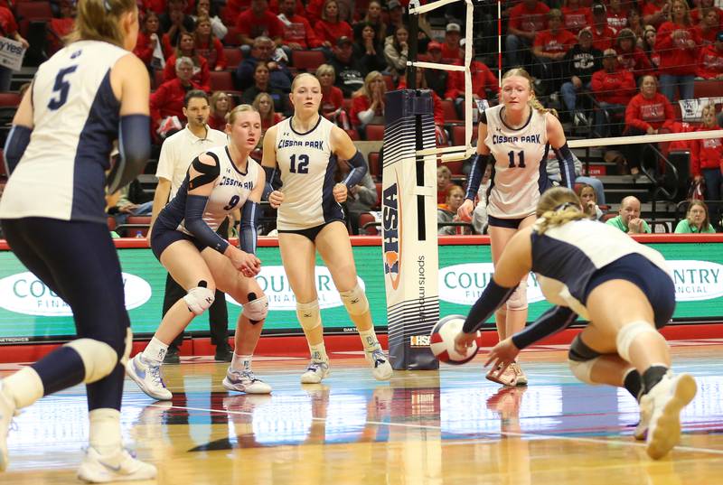 Cissna Park's Faith Kaeb dives for the ball as teammates look on during the Class 1A State semifinal game on Friday, Nov. 15, 2024 at CEFCU Arena in Normal.