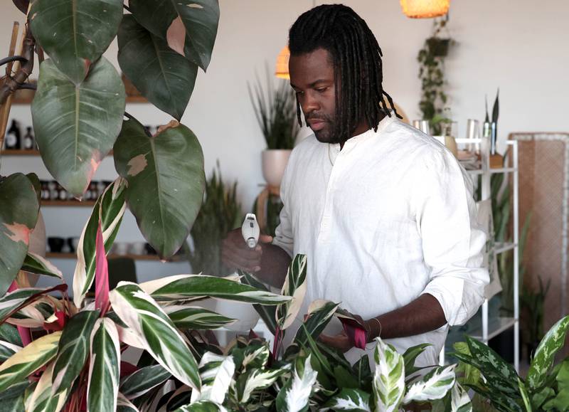 Troy Rorer, owner of The Greenhouse with his wife Kailey, sprays some of the plants Thursday, Feb. 29, 2024, at the store in Sycamore. The Greenhouse has expanded in size and will soon offer new services.