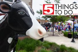 5 things to do in McHenry County: Harvard Milk Days highlights