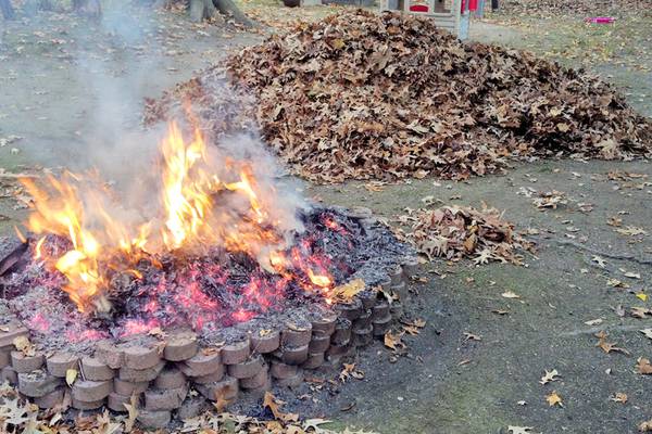 Joliet reminds residents of rules on leaf, yard waste disposal