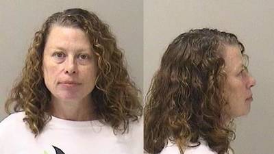 Geneva woman charged with felony hate crimes in alleged attack on police officer