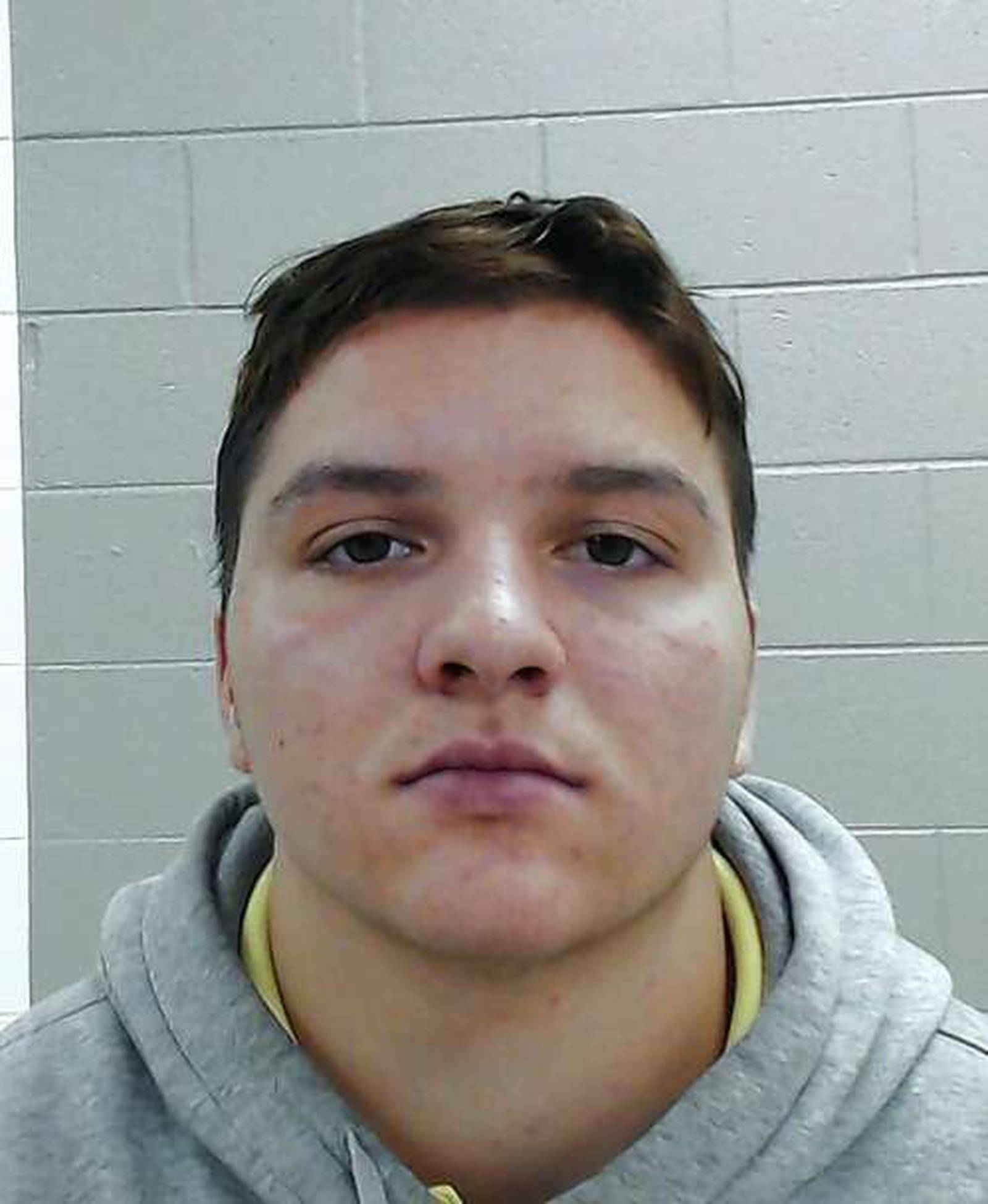 Pingree Grove Schaumburg resident pleads guilty to shooting into house