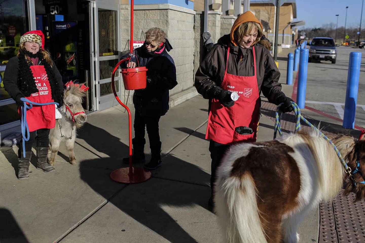 Sherry Miller and Andrea Pletzke of the Will County Trail Riders hold miniature horses as they ring the bell for the Salvation Army outside Wal-mart, Saturday, Dec. 19, 2015, in New Lenox, Ill.