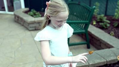 Photos: Peck Farm Park Butterfly House open for 2025 season