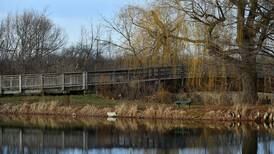Register now for a Mother’s Day event at the Will County forest preserve