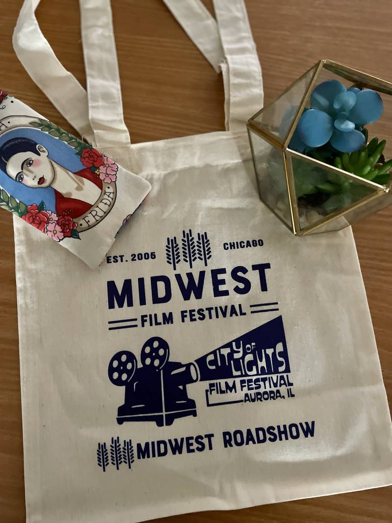 The Midwest Film Festival will bring their curated short film program, complete with filmmaker Q&As, to Aurora’s Copley Theater June 14, 2025.