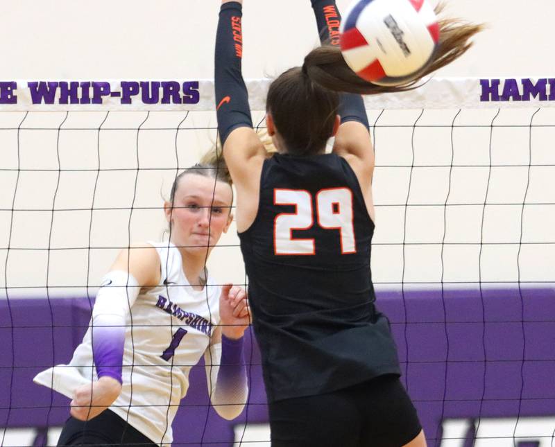 Hampshire’s Elizabeth King hits the ball against Libertyville in an IHSA volleyball Class 4A Sectional Championship at Hampshire High School in Hampshire on Thursday, November 6, 2025.