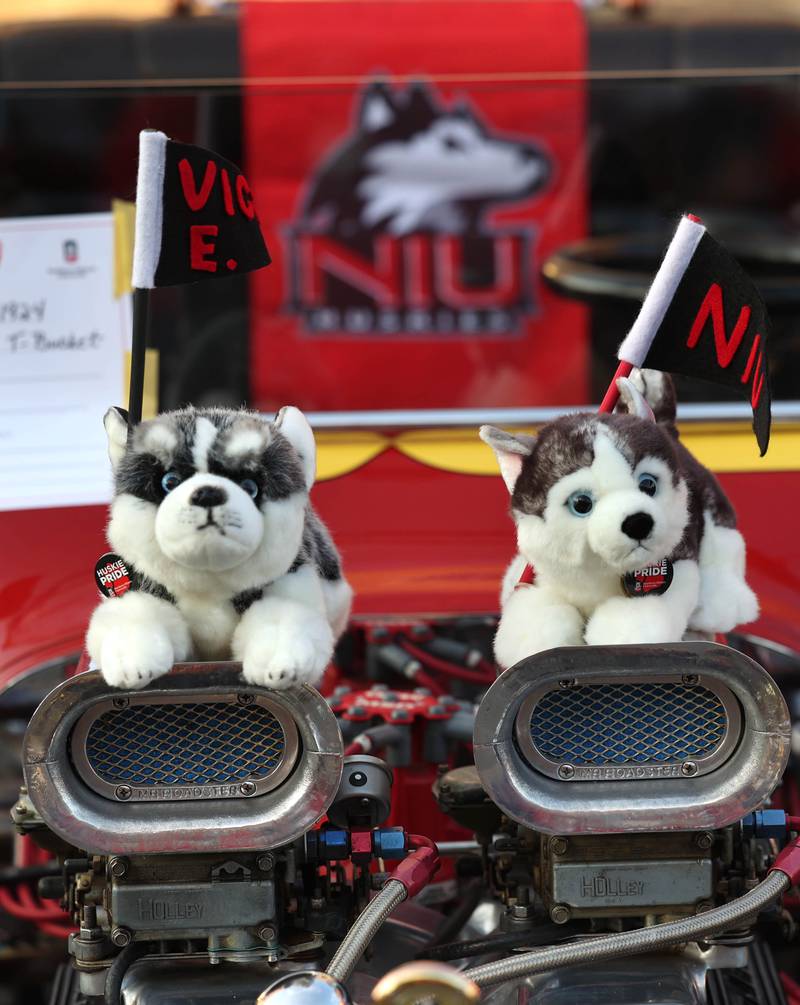 A pair of Huskies rest on the engine of one of the classic cars in the car show Thursday, Oct. 2, 2025, during the Huskie Homecoming Block Party in downtown DeKalb.