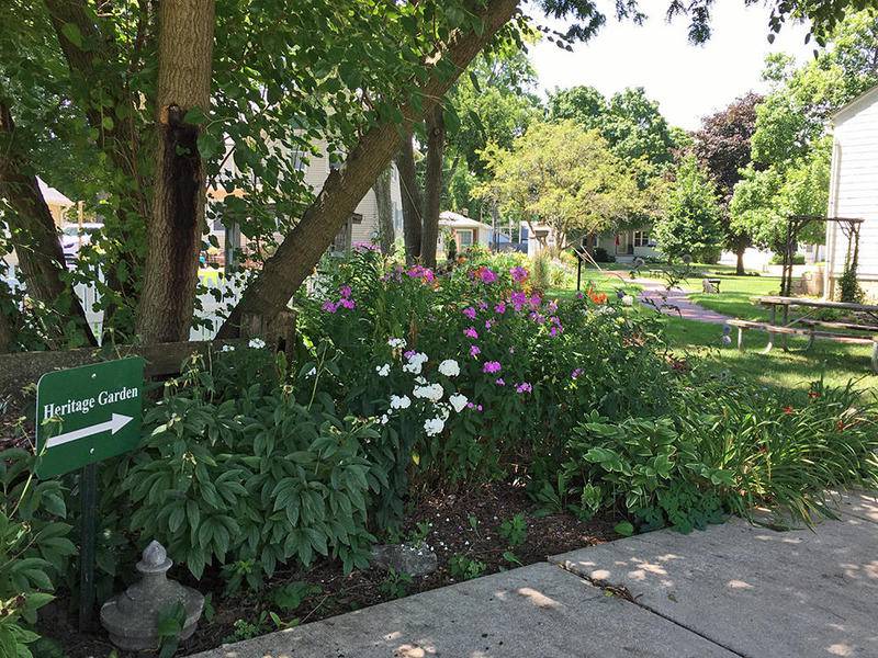 While the hours at Oswego’s Little White School Museum are limited due to the ongoing COVID-19 pandemic, the museum grounds--Heritage Park--and the Heritage Garden featuring old-fashioned perennials is open for strollers to enjoy. The garden’s huge variety of plants is now in nearly full-flower. The garden is maintained by volunteers from the Hilltop Garden Club. The museum is a joint project of the Oswegoland Heritage Association and the Oswegoland Park District. It is located at 72 Polk (Jackson at Polk Street), just two blocks from Oswego’s historic downtown business district. For more information on the Heritage Garden or the Little White School Museum, send an email to info@littlewhiteschoolmuseum.org.
