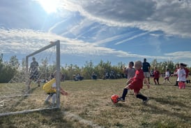 Yorkville Parks & Rec launching registration app for sports, preschool, adult leagues