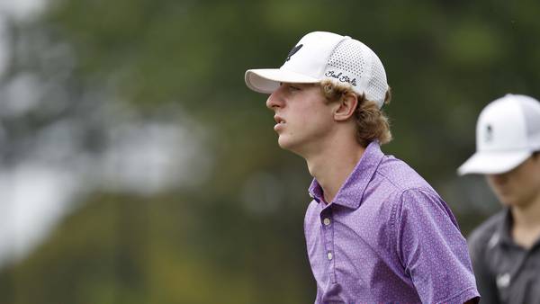 Boys golf: 2025 Northwest Herald All-Area team