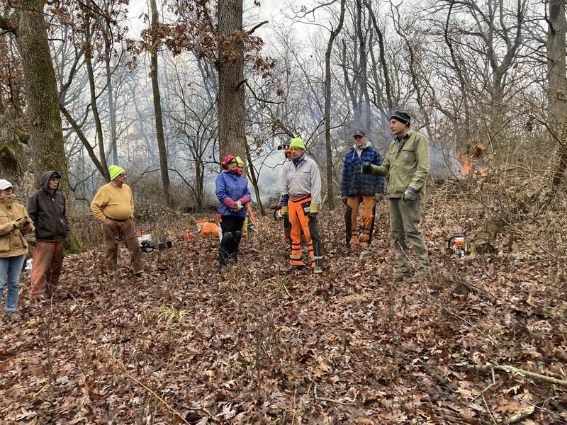 Volunteers with the The Land Conservancy of McHenry County clear brush on New Year's Eve 2024 at Boloria Meadows Nature Preserve in Bull Valley. A recent land purchase expands the preserve, allowing for new access and a future parking lot off of Ridge Road.