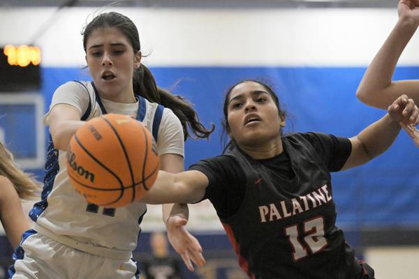 Big fourth quarter sends Wheaton North past Palatine in Neibch tournament opener