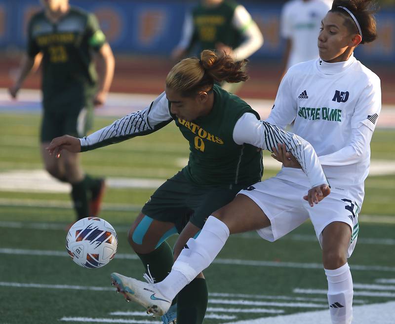 Crystal Lake South's Ali Ahmed battles with Peoria Notre Dame's Fabi Arellano for control of the ball during the IHSA Class 2A state championship soccer match on Saturday, Nov. 4, 2023, at Hoffman Estates High School.