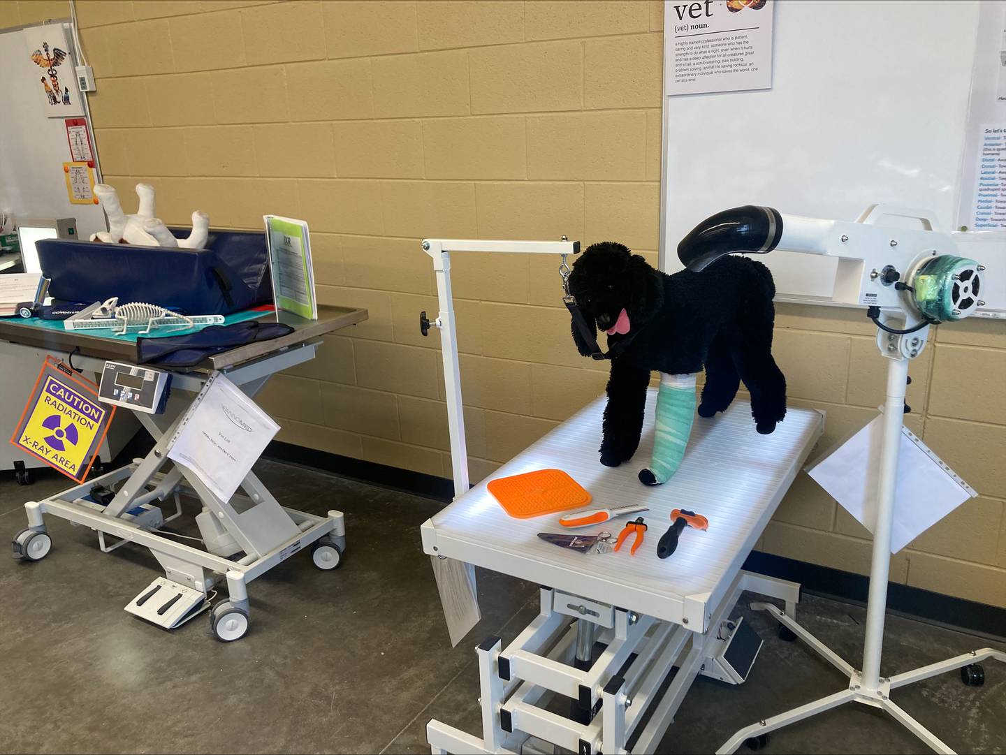 Grooming table in new Wilco lab.