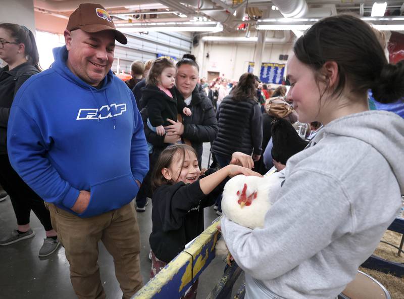 Molly Brescia, 8, from Sycamore pets a chicken Wednesday, Feb. 25, 2026, during the DeKalb High School Future Farmers of America Barnyard Zoo. The event was open to the public and offered the chance to learn about farming and see farm animals up close.
