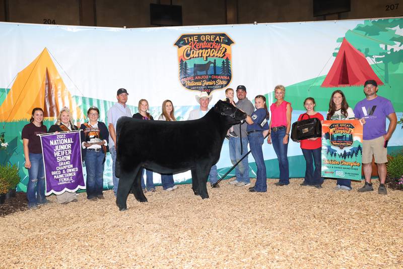 American Junior Maine-Anjou Association member, McKlay Gensini of Hennepin took home the title of Grand Champion Bred and Owned Maintainer Female at the 2022 National Junior Heifer Show in Louisville, Kentucky.