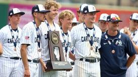 Photos: Cary-Grove vs. Troy Triad baseball in the Class 3A third place game