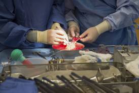 Shaw Local Radio Podcast: Elliott and Renee Kwiatek on their kidney donor story