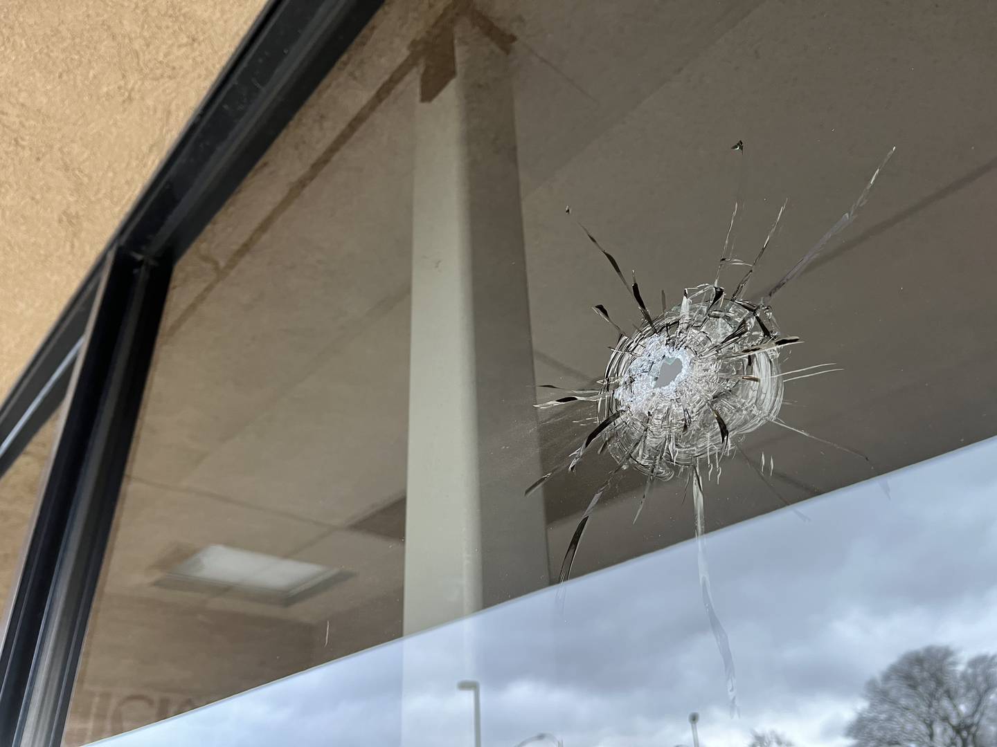 Windows and door damaged by gunfire at Envisions Salon Suites on Theodore Street. This business is in a plaza across the street from Merichka' s Restaurant also on Theodore Street in Crest Hill.