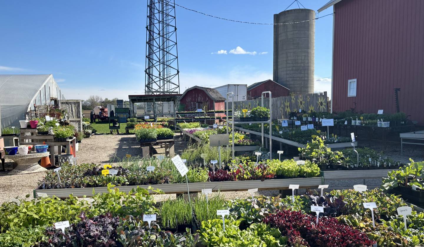Wiltse’s Farm opened its doors for the 60th season in Maple Park last month, and is offering spring season specials until June.
