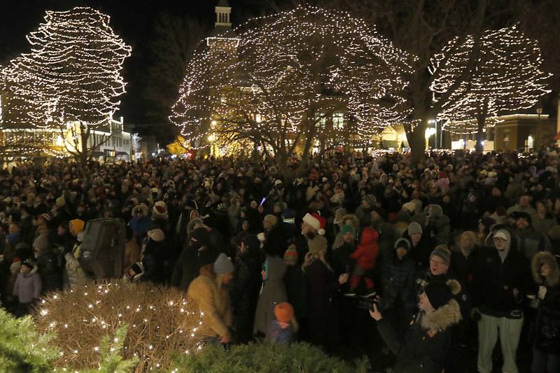 People look at the lights during the Lighting of the Square Friday, Nov. 29, 2024, in Woodstock. The annual holiday season event featured brass music, caroling, free doughnuts and cider, food trucks, festive selfie stations and shopping.