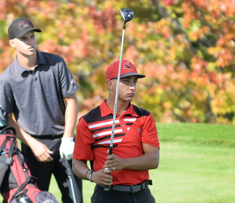Forreston's Daylen Rahn watches one of his drives during the 1A Pearl City Regional on Wednesday, Oct. 1, 2025 at Wolf Hollow Golf Course in Lena.