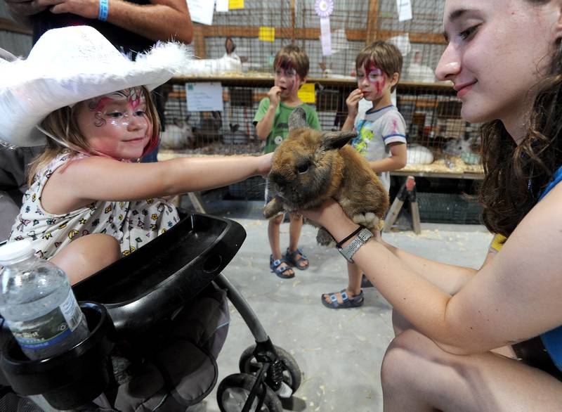 Four-year-old Kayla Morris of Yorkville, gets to pet "Jeff", a Holland Lop rabbit owned by Kiley Tchebotarev, junior superintendent of rabbits for the 4H Club during the Kendall County Fair in Yorkville on Friday, Aug. 2, 2024.