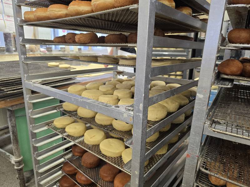 Paczki, a traditional jelly-filled, doughnut-like pastry, which many people enjoy before the start of the Christian Lent, sits on a tray on Saturday, Feb. 14, 2026.