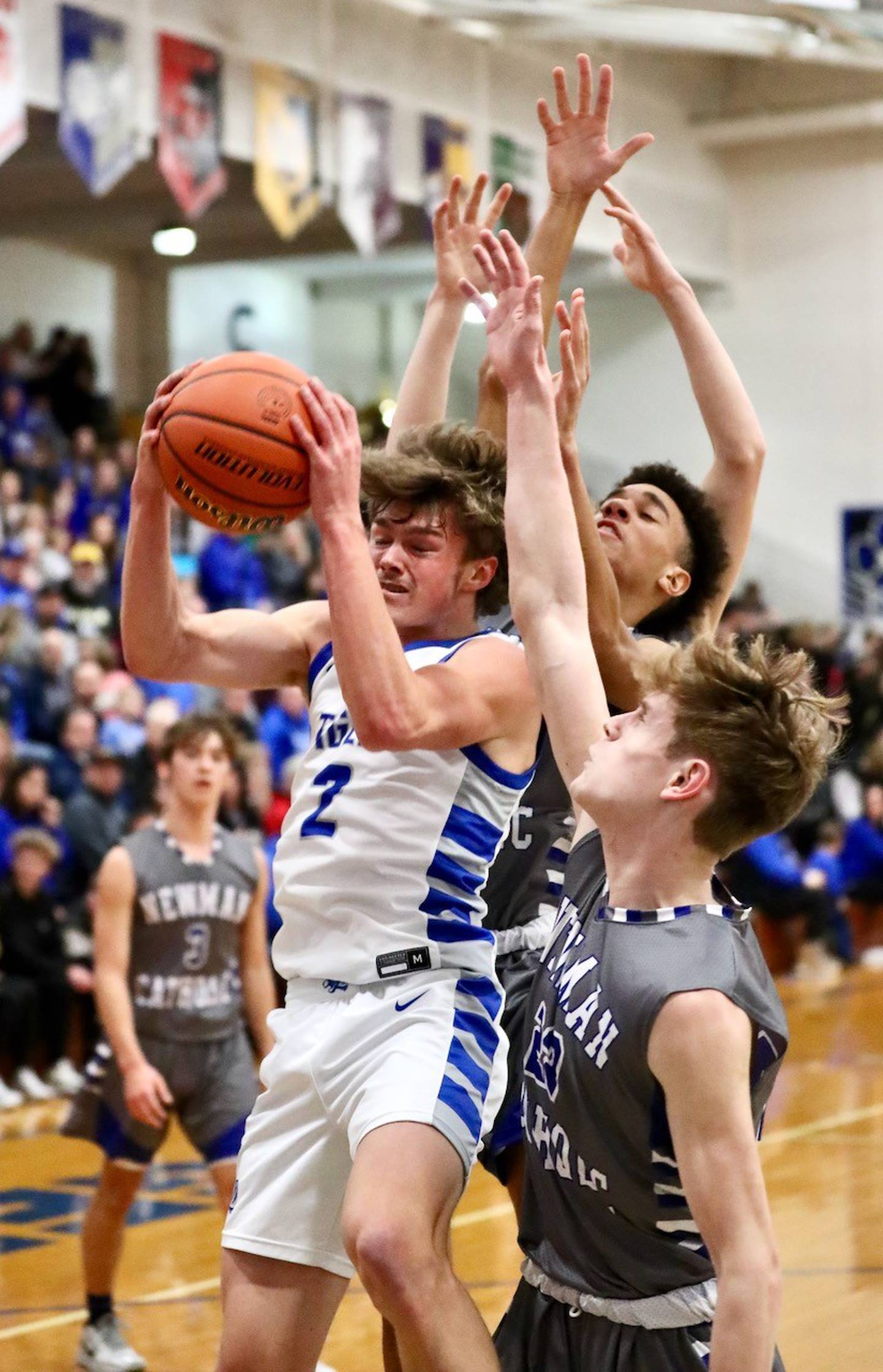 Princeton's Teegan Davis corrals a rebound against Newman Friday night at Prouty Gym.