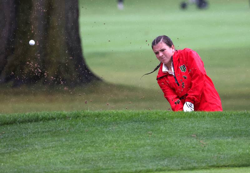 LaSalle-Peru’s Allie Thome blasts her ball out of the sand trap on the second hole Tuesday, Sept. 24, 2024, during the Interstate 8 girls golf tournament at the Sycamore Golf Club.