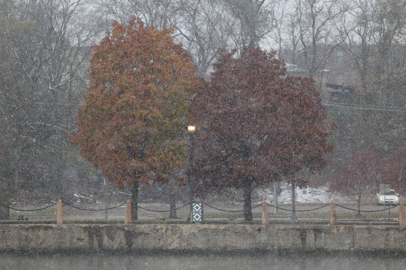 Snow falls in Bicentennial Park along the Des Plaines River in downtown Joliet on Tuesday. The National Weather Service issued a Winter Weather Advisory from Tuesday until early Wednesday with snow accumulations of 1 to 3 inches expected throughout Will County.