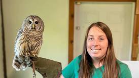 Edfors will speak about Beaver Island at Dec. 3 Fulton windmill’s WWW program