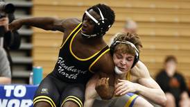 Photos: DuKane Conference Boys Wrestling Tournament in St. Charles