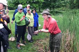 Good Natured in St. Charles: Naturalist training program to entice nature lovers