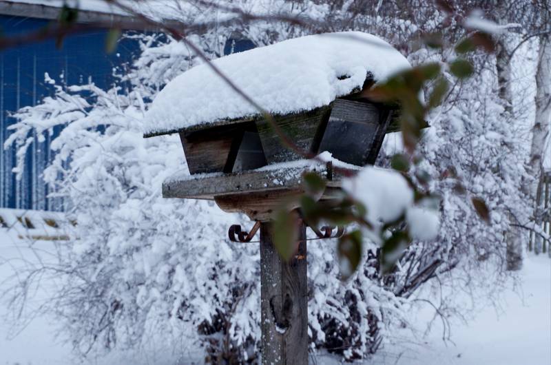 Snow covers the area in Hebron, Illinois on Friday, January 12, 2024