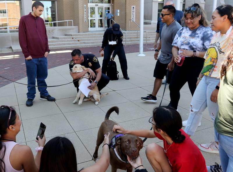 Elgin Police Commander Eric Echevarria leans in for a kiss atop Chance's head as Elgin Police Explorers gather around to meet police therapy dogs Chance, TJ, and Mason during a police therapy dog training session at the Elgin Police Department on Wednesday, June 16, 2021 in Elgin.  Chance, a 5 month old pure bred Golden Retriever in the Elgin Police Department's K-9 therapy dog program under Commander Eric Echevarria, is in the beginning stages of his training as a therapy dog with primary handler officer Craig Arnold and secondary handler officer Linda Williamson.