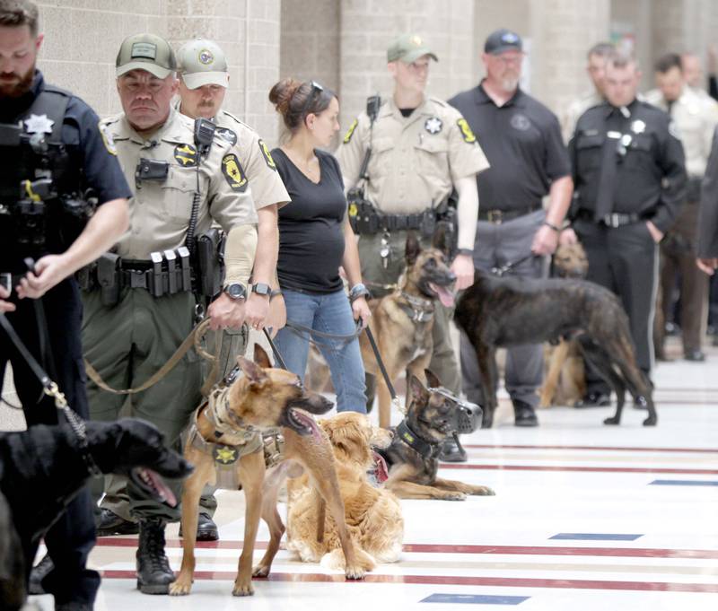 Over 500 police, sheriff and K-9 officers honored Kane County Sheriff K-9 Hudson, who lost his life in the line of duty last month, during his funeral on Thursday, June 1, 2023 at Kaneland Harter Middle School in Sugar Grove.