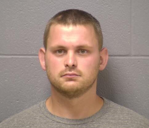 Man charged with Mokena torture, fatal beating of dog named Kirby ...