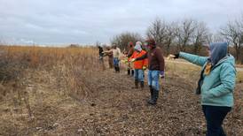 Volunteers clear invasive species, plant native seeds at Midewin