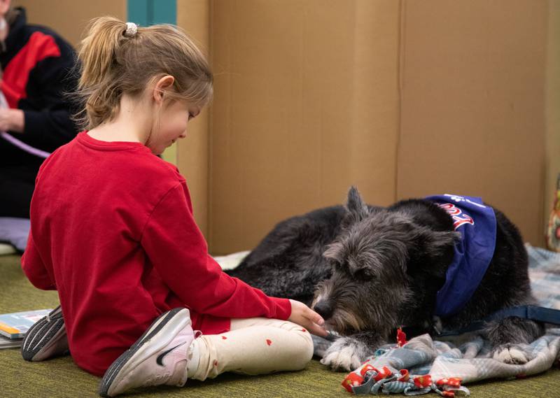Charlotte Farmer, 7, let’s therapy dog Elsa sniff her hand at the Elmhurst Public Library on Saturday, Feb. 12, 2023.