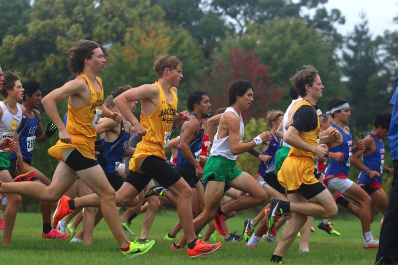 Runners begin the Fox Valley Conference Boys Cross Country Meet at Plato Park in Elgin Saturday.