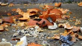 Why you can’t ditch old pumpkins in forest preserves