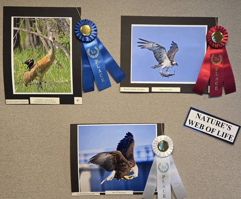 Nature’s Web in Action (Web of Life)

1st      Michael Schmitt of Grayslake for “A Sandhill, a Red-wing & a Bumblebee Meet for Lunch”
2nd     Michael Schmitt of Grayslake for “Osprey Cat Catch”
3rd      Carl Stineman of Vernon Hills for “Mid-Air Refueling”