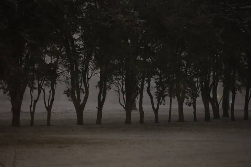 Trees stand in the snow cover field along Essington Road. Wednesday, Feb. 2, 2022 in Joliet.